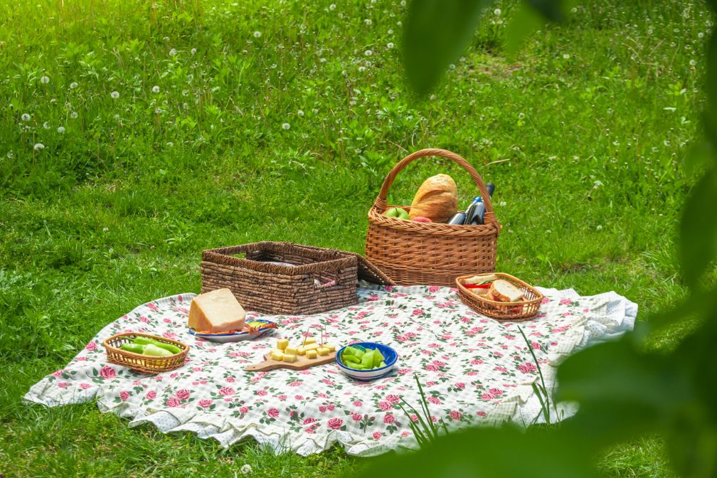 Best day trips for older family members include a simple picnic at the park