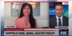 Animal Assisted Therapy